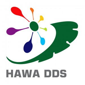 Giới thiệu chung về dự án HAWA DDS