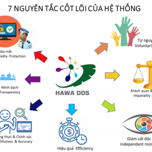 7 Nguyên tắc cốt lõi của hệ thống HAWA DDS
